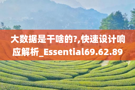 大数据是干啥的?,快速设计响应解析_Essential69.62.89