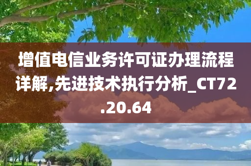 增值电信业务许可证办理流程详解,先进技术执行分析_CT72.20.64