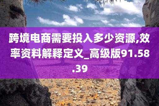 跨境电商需要投入多少资源,效率资料解释定义_高级版91.58.39