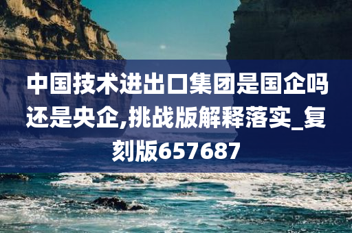 中国技术进出口集团是国企吗还是央企,挑战版解释落实_复刻版657687