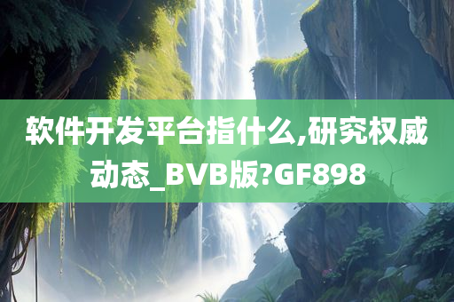 软件开发平台指什么,研究权威动态_BVB版?GF898