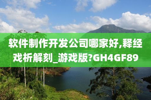 软件制作开发公司哪家好,释经戏析解刻_游戏版?GH4GF89