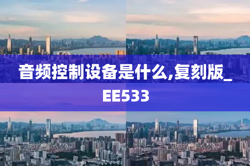 音频控制设备是什么,复刻版_EE533