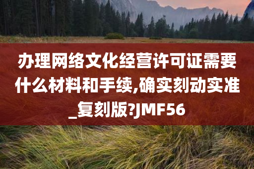 办理网络文化经营许可证需要什么材料和手续,确实刻动实准_复刻版?JMF56