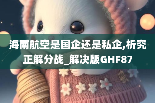 海南航空是国企还是私企,析究正解分战_解决版GHF87