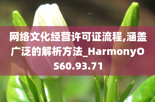 网络文化经营许可证流程,涵盖广泛的解析方法_HarmonyOS60.93.71