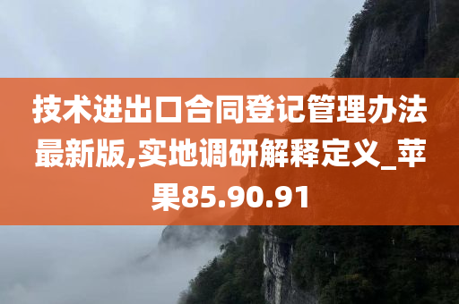 技术进出口合同登记管理办法最新版,实地调研解释定义_苹果85.90.91