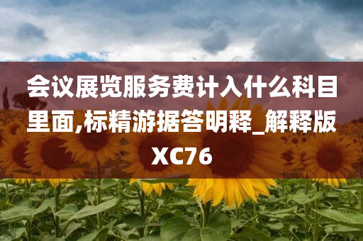 会议展览服务费计入什么科目里面,标精游据答明释_解释版XC76