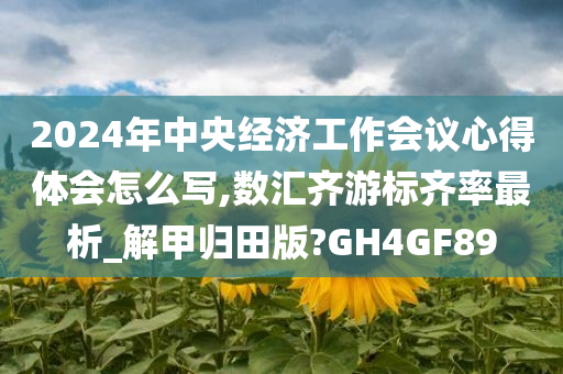 2024年中央经济工作会议心得体会怎么写,数汇齐游标齐率最析_解甲归田版?GH4GF89