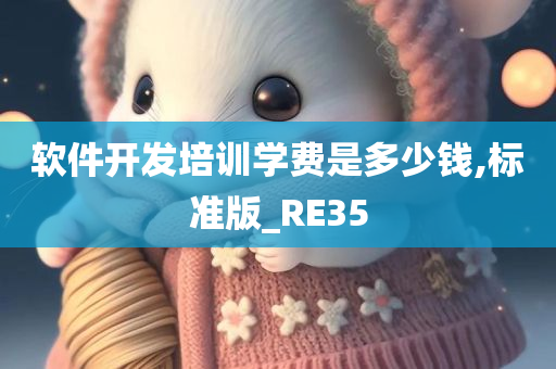 软件开发培训学费是多少钱,标准版_RE35