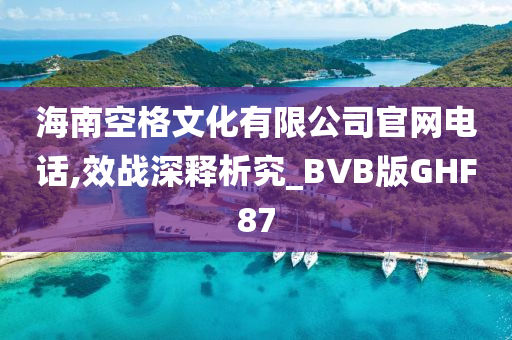 海南空格文化有限公司官网电话,效战深释析究_BVB版GHF87