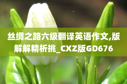 丝绸之路六级翻译英语作文,版解解精析挑_CXZ版GD676