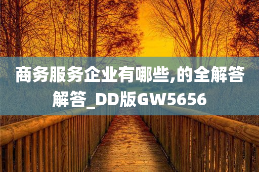 商务服务企业有哪些,的全解答解答_DD版GW5656