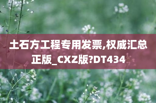 土石方工程专用发票,权威汇总正版_CXZ版?DT434