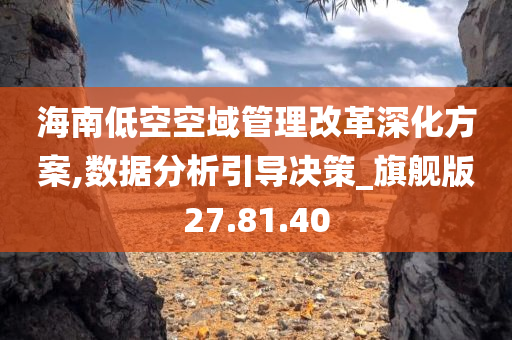 海南低空空域管理改革深化方案,数据分析引导决策_旗舰版27.81.40