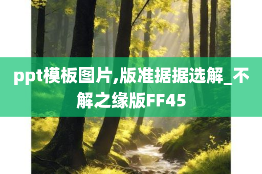 ppt模板图片,版准据据选解_不解之缘版FF45