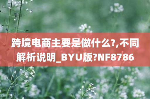 跨境电商主要是做什么?,不同解析说明_BYU版?NF8786