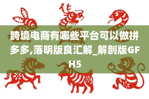 跨境电商有哪些平台可以做拼多多,落明版良汇解_解剖版GFH5