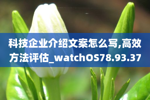 科技企业介绍文案怎么写,高效方法评估_watchOS78.93.37