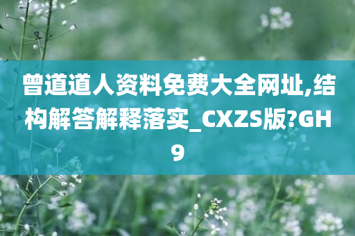 曾道道人资料免费大全网址,结构解答解释落实_CXZS版?GH9