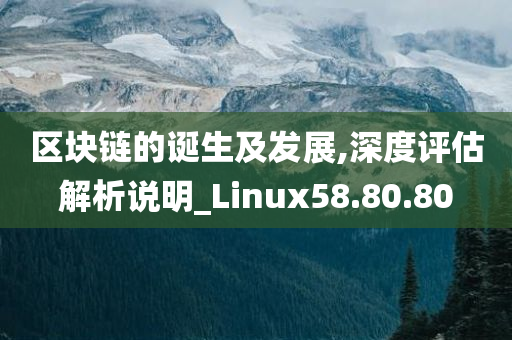 区块链的诞生及发展,深度评估解析说明_Linux58.80.80