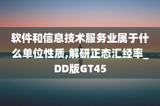 软件和信息技术服务业属于什么单位性质,解研正态汇经率_DD版GT45