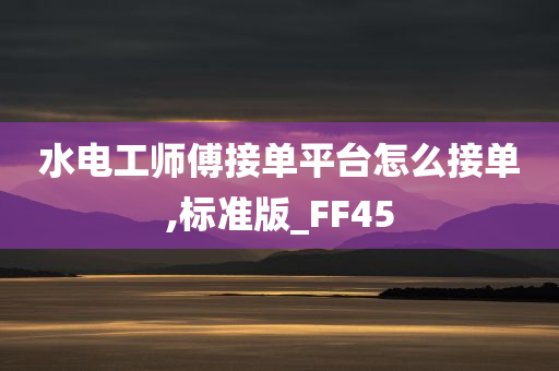 水电工师傅接单平台怎么接单,标准版_FF45