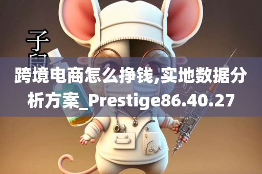 跨境电商怎么挣钱,实地数据分析方案_Prestige86.40.27