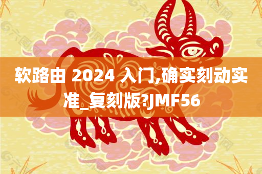 软路由 2024 入门,确实刻动实准_复刻版?JMF56