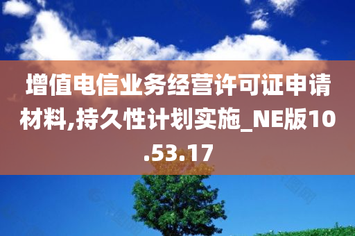 增值电信业务经营许可证申请材料,持久性计划实施_NE版10.53.17