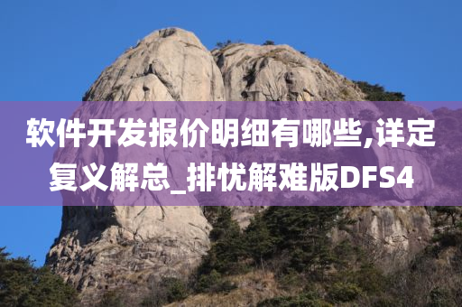 软件开发报价明细有哪些,详定复义解总_排忧解难版DFS4