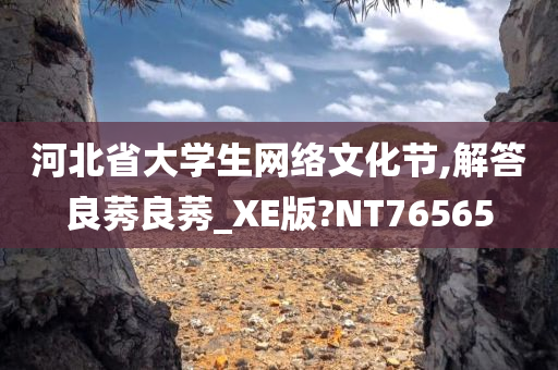 河北省大学生网络文化节,解答良莠良莠_XE版?NT76565