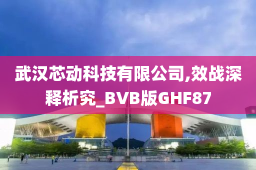 武汉芯动科技有限公司,效战深释析究_BVB版GHF87