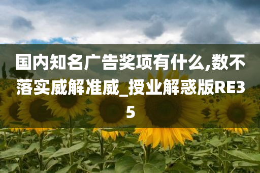 国内知名广告奖项有什么,数不落实威解准威_授业解惑版RE35