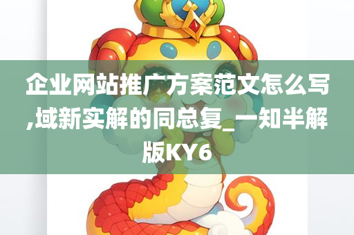 企业网站推广方案范文怎么写,域新实解的同总复_一知半解版KY6