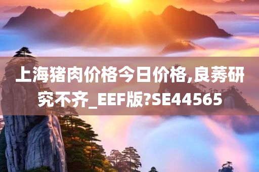 上海猪肉价格今日价格,良莠研究不齐_EEF版?SE44565