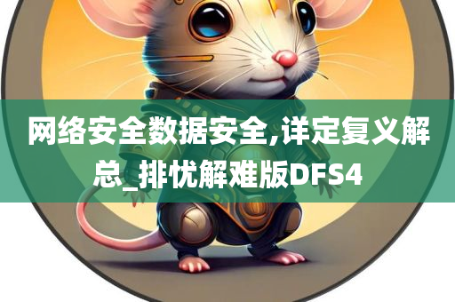 网络安全数据安全,详定复义解总_排忧解难版DFS4