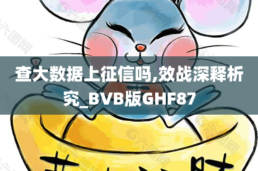 查大数据上征信吗,效战深释析究_BVB版GHF87