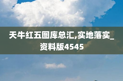 天牛红五图库总汇,实地落实_资料版4545