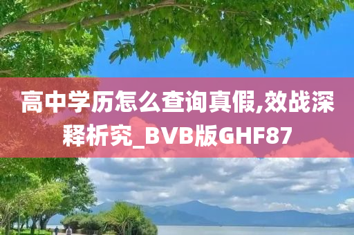 高中学历怎么查询真假,效战深释析究_BVB版GHF87