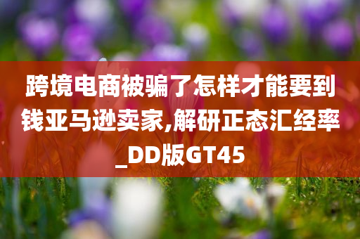 跨境电商被骗了怎样才能要到钱亚马逊卖家,解研正态汇经率_DD版GT45