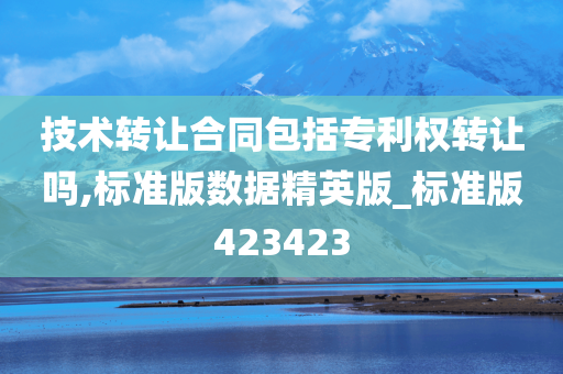 技术转让合同包括专利权转让吗,标准版数据精英版_标准版423423