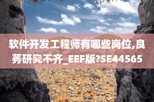 软件开发工程师有哪些岗位,良莠研究不齐_EEF版?SE44565