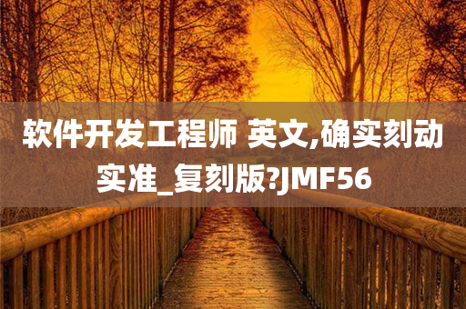 软件开发工程师 英文,确实刻动实准_复刻版?JMF56