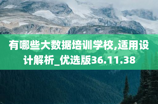 有哪些大数据培训学校,适用设计解析_优选版36.11.38