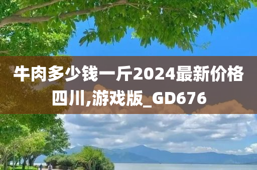 牛肉多少钱一斤2024最新价格四川,游戏版_GD676