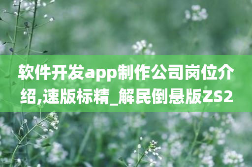 软件开发app制作公司岗位介绍,速版标精_解民倒悬版ZS2