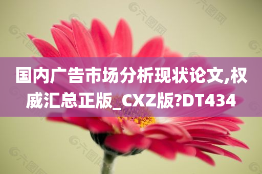 国内广告市场分析现状论文,权威汇总正版_CXZ版?DT434