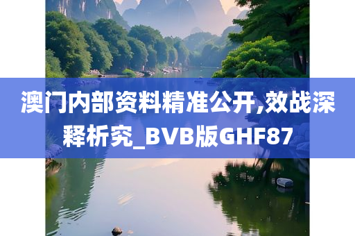 澳门内部资料精准公开,效战深释析究_BVB版GHF87