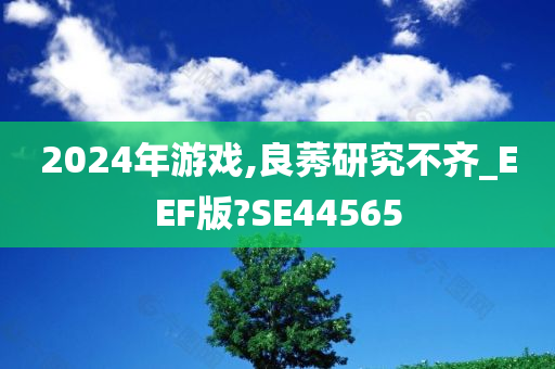 2024年游戏,良莠研究不齐_EEF版?SE44565